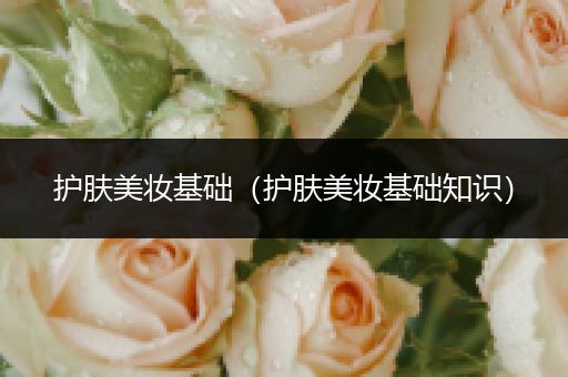 護膚美妝基礎（護膚美妝基礎知識）