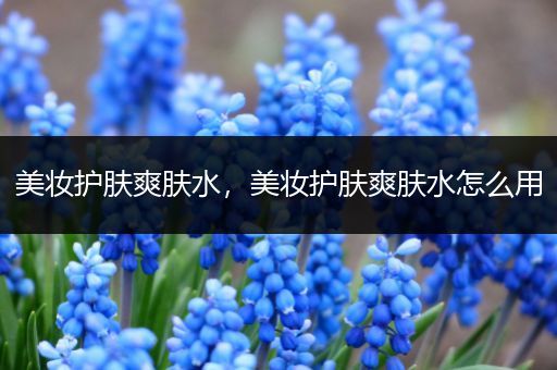 美妝護膚爽膚水，美妝護膚爽膚水怎么用