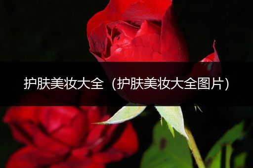 護膚美妝大全（護膚美妝大全圖片）