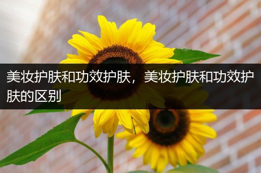 美妝護膚和功效護膚，美妝護膚和功效護膚的區(qū)別