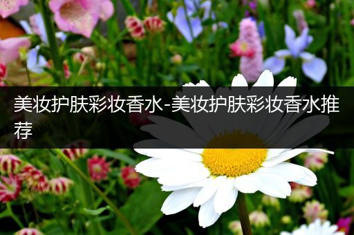 美妝護(hù)膚彩妝香水-美妝護(hù)膚彩妝香水推薦