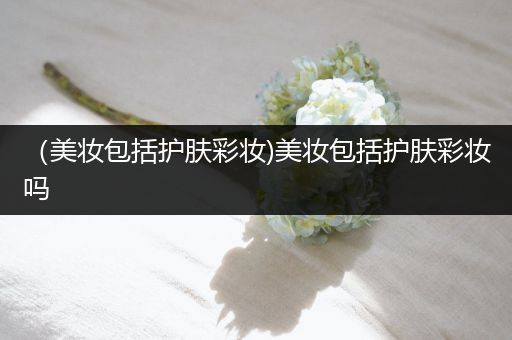 （美妝包括護(hù)膚彩妝)美妝包括護(hù)膚彩妝嗎