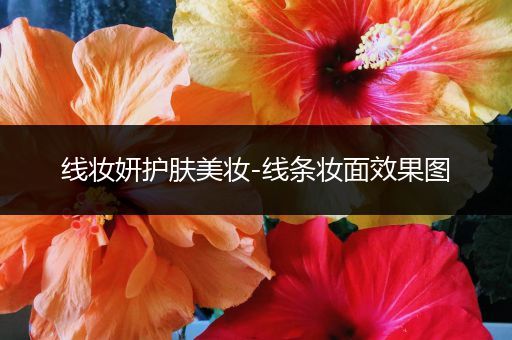 線妝妍護膚美妝-線條妝面效果圖