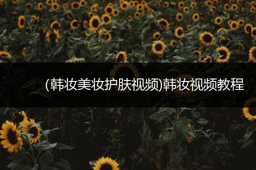 （韓妝美妝護(hù)膚視頻)韓妝視頻教程