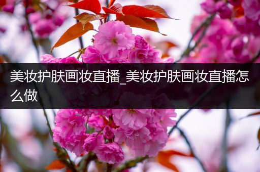 美妝護(hù)膚畫(huà)妝直播_美妝護(hù)膚畫(huà)妝直播怎么做